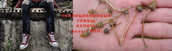 ALPHA-PVP Баксан